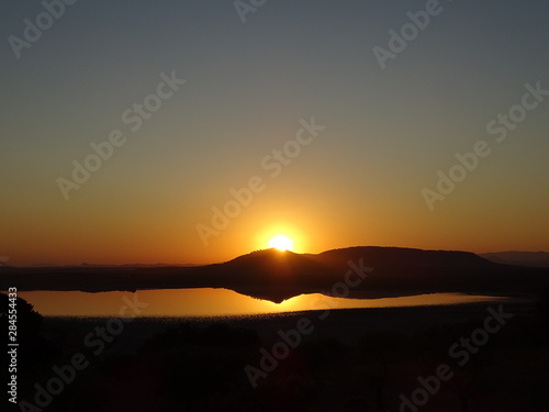 Phoenicopterus roseus anillamiento de pollos de flamenco laguna de fuente de  piedra malaga  2019 sol photo