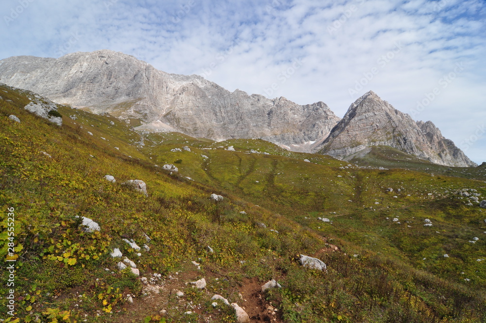 mountain landscape with flowers mountain landscape with flowers