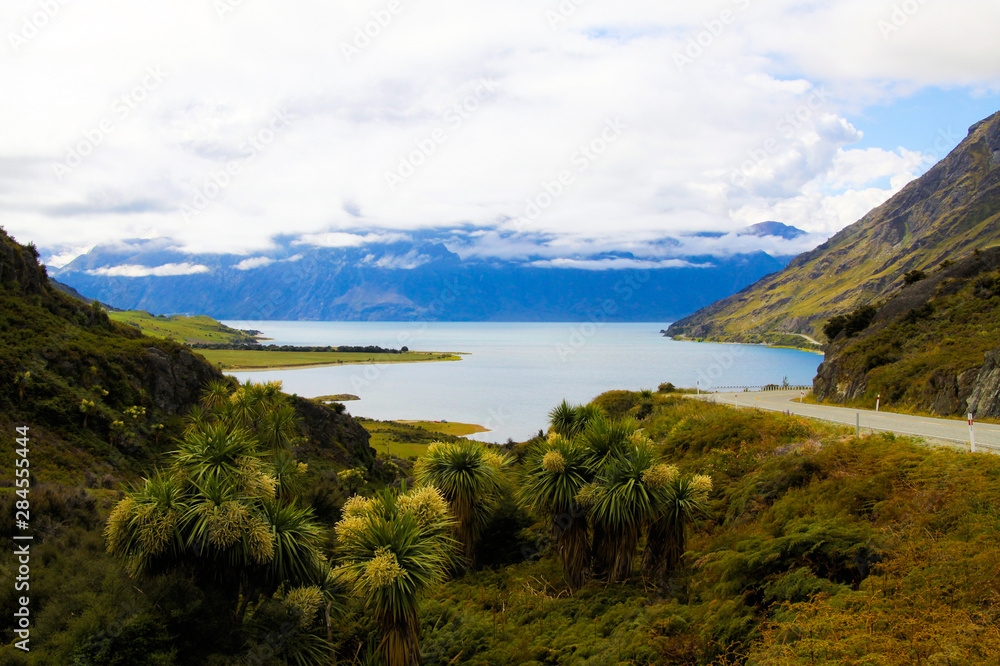 View over green grass and plants on lake with high rugged mountains background. Depp clouds hanging in mountain peak. Lake Pukaki - New Zealand