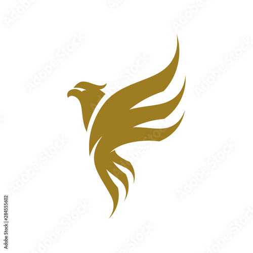 Eagle logo design vector. Sport Eagle logo template
