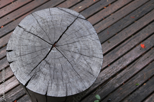 stump on wooden floor