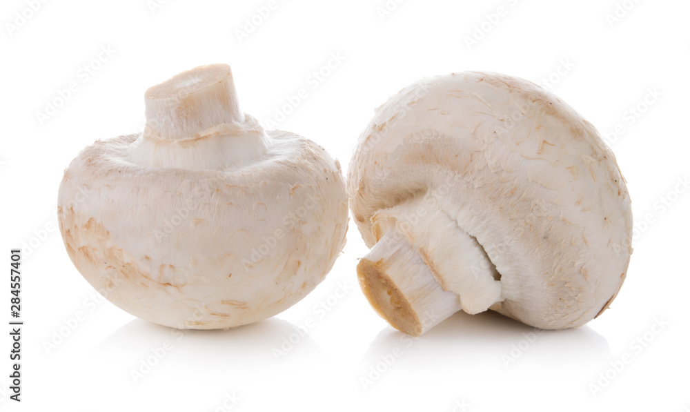 Group of mushrooms isolated on white background Group of mushrooms isolated on white background