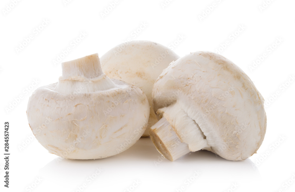 Group of mushrooms isolated on white background Group of mushrooms isolated on white background
