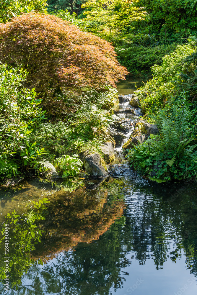 Garden Stream And Pond Garden Stream And Pond