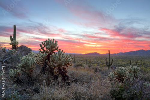 Looking north from Gates Pass at dusk with jumping cholla and saguaro cactus in the foreground, located west of Tucson, Arizona.