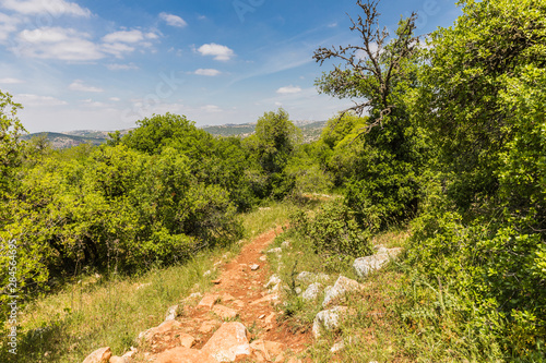 View from the Roe Deer Trail in The Ajloun Forest Reserve in Jordan