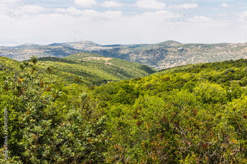 View from the Roe Deer Trail in The Ajloun Forest Reserve in Jordan