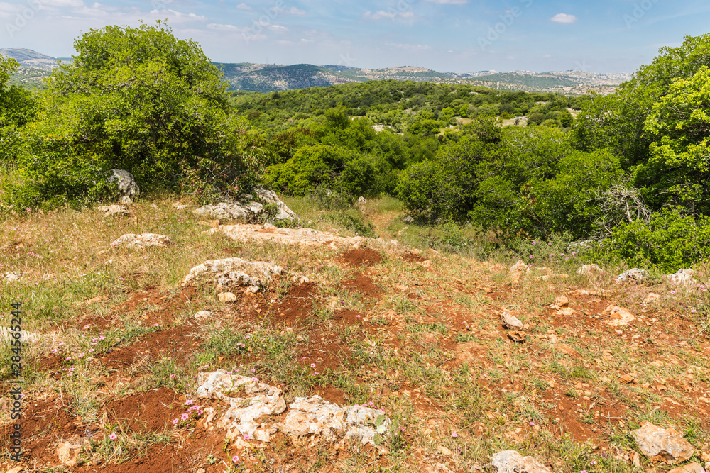 View from the Roe Deer Trail in The Ajloun Forest Reserve in Jordan