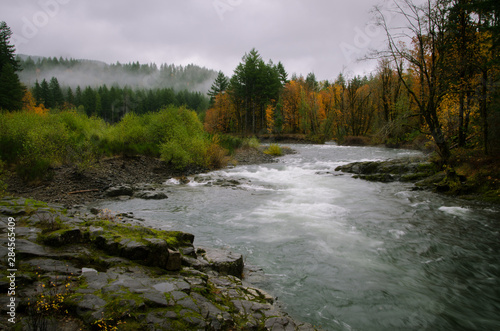 Wilson River Tillamook Forest photo