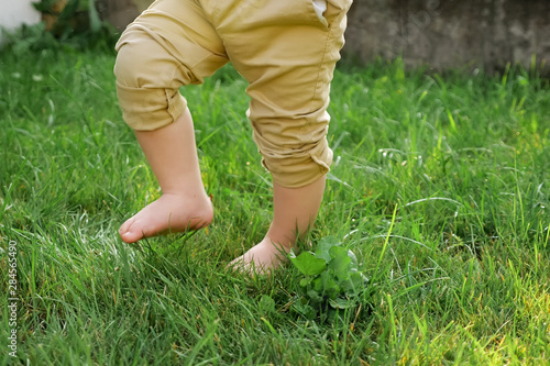 toddler son in beige pants bare feet walk on fresh green grass on sunny day close low angle shot