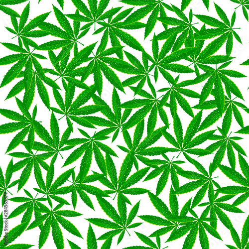 Green marijuana background vector illustration. Seamless pattern marihuana leaf herb narcotic textile. Grass medical agriculture addictive weed nature forbidden.