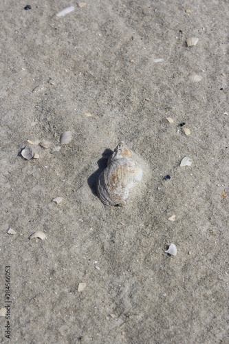 footprints in the sand