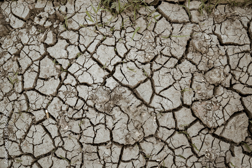 Drought soil background at dry season
