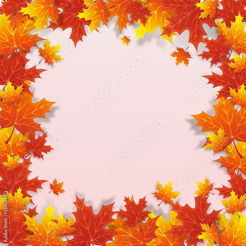 Vector Autumn natural background with orange maple leaves, fall bright landscape, banner, place for text