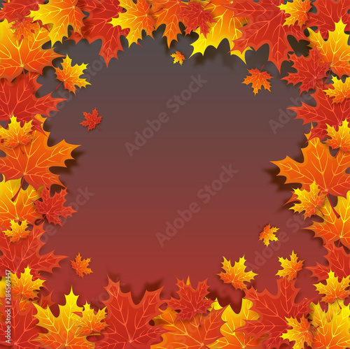 Vector Autumn natural background with orange maple leaves  fall bright landscape  banner  place for text