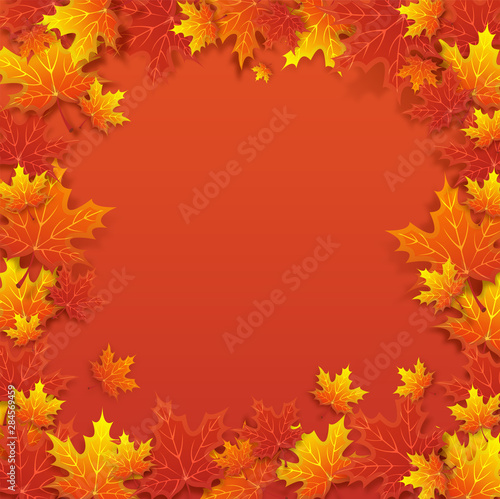 Vector Autumn natural background with orange maple leaves, fall bright landscape, banner, place for text