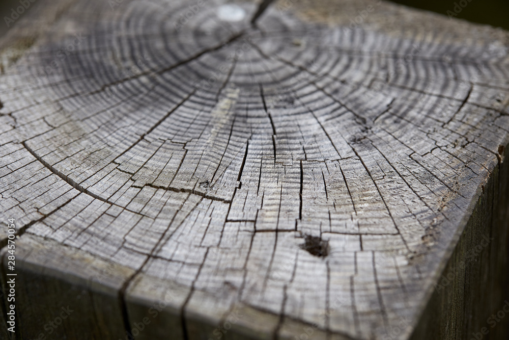 old wooden texture for background old wooden texture for background