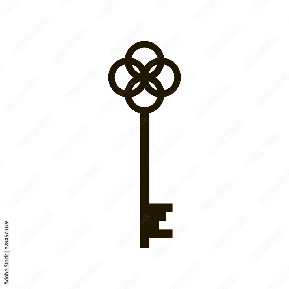 Obraz premium Key vector icon isolated on white background