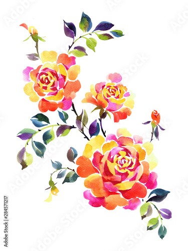 Fototapeta Naklejka Na Ścianę i Meble -  Watercolor roses illustration. Floral art. Hand drawn flowers. Botanical decorative ornament.