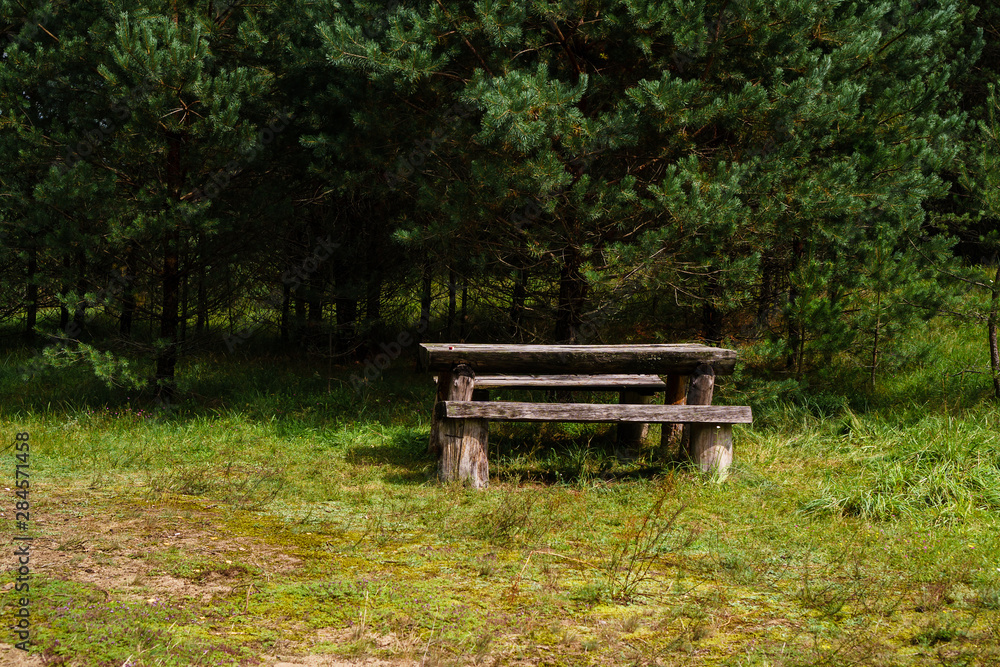 Two old wooden benches and a table in the forest in the green grass. Picnic in the forest.
