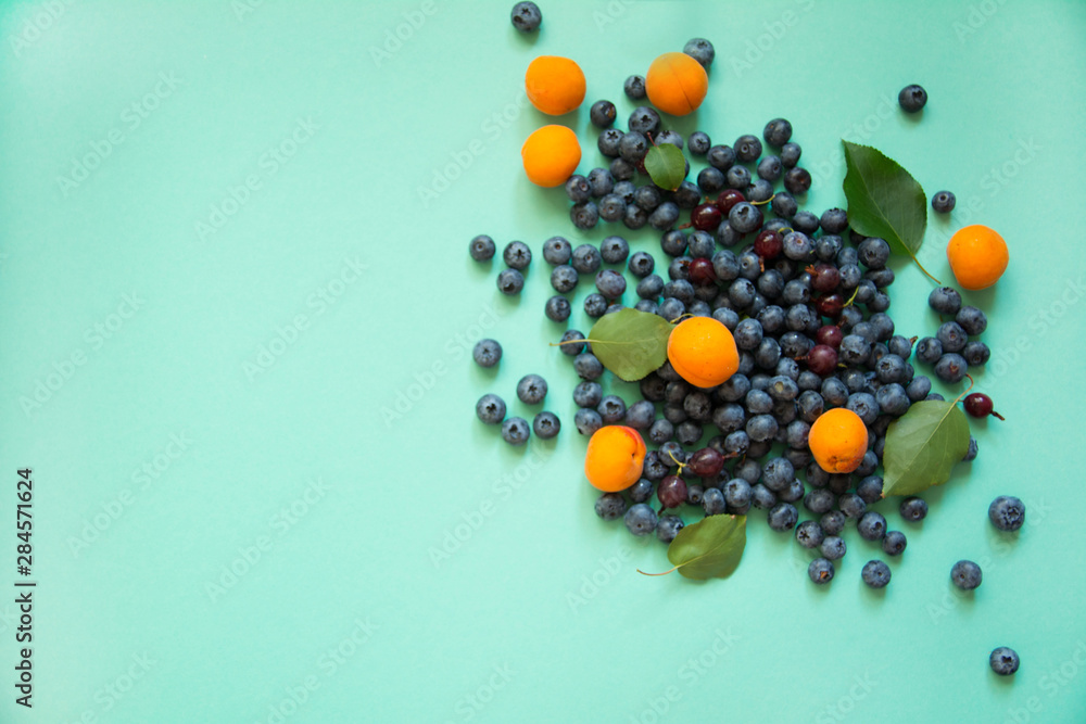 background with blueberries and apricots light tree texture. view from above background with blueberries and apricots light tree texture. view from above