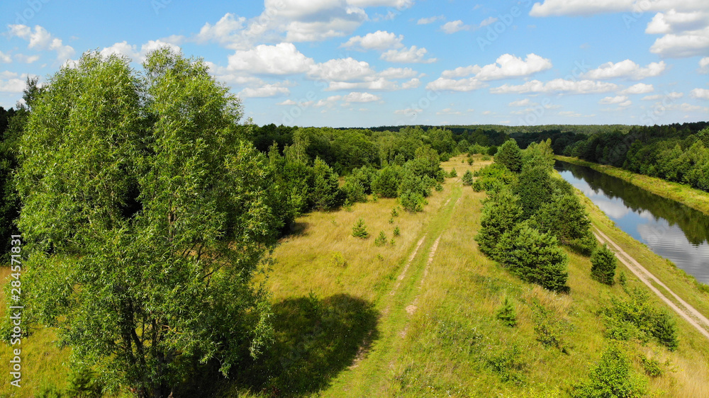 Obraz premium Aerial View Of A Forest During Summer Season