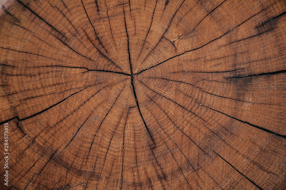 Fototapeta premium old wood texture