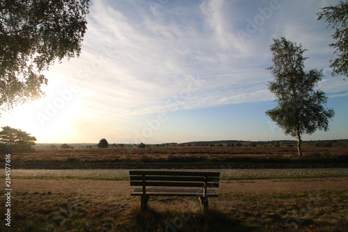 Bank in der Morgensonne in der Lüneburger Heide