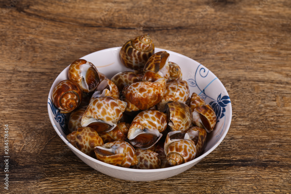 Tasty mollusk - spotted Babylon in the bowl Tasty mollusk - spotted Babylon in the bowl