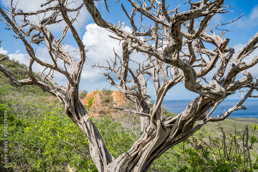 walking around Lagun , Curacao, Caribbean 