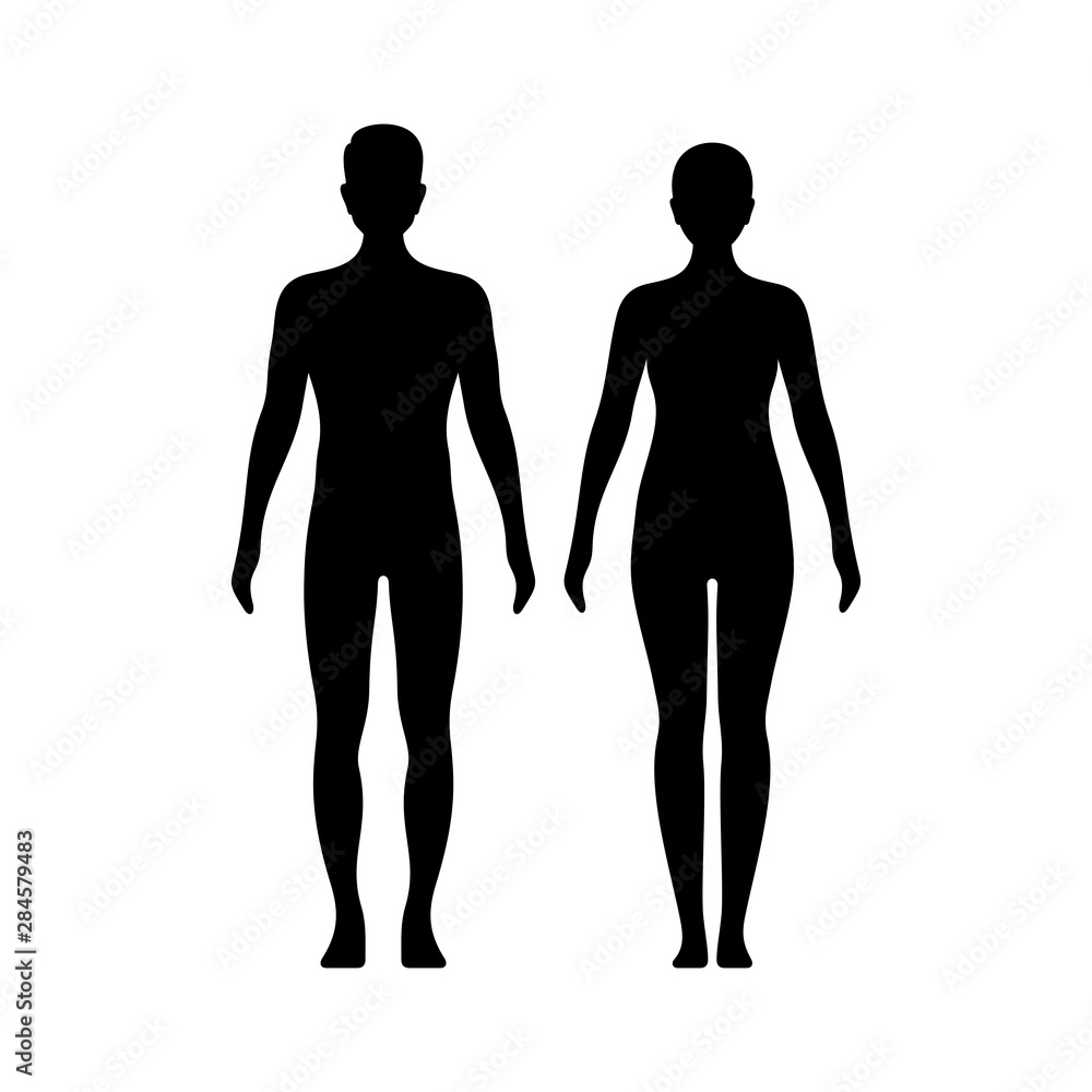 Male and female model figures vector illustration Stock Vector | Adobe ...
