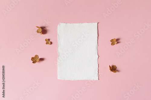 Feminine floral wedding, birthday stationery mock-up scene. Blank deckled edge cotton paper greeting card. Dry hydrangea flower petals on pink table background. Flat lay, top view. photo