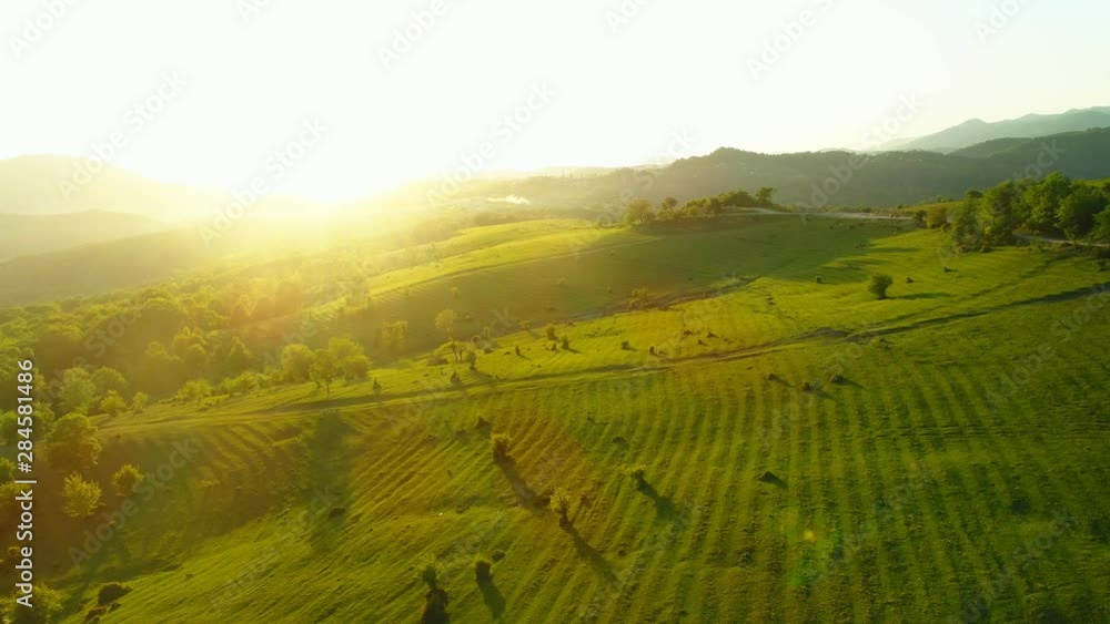 Top view drone flight over big grass field during a sunset in the vicinity of Sochi. The incredible nature of Russia Top view drone flight over big grass field during a sunset in the vicinity of Sochi. The incredible nature of Russia