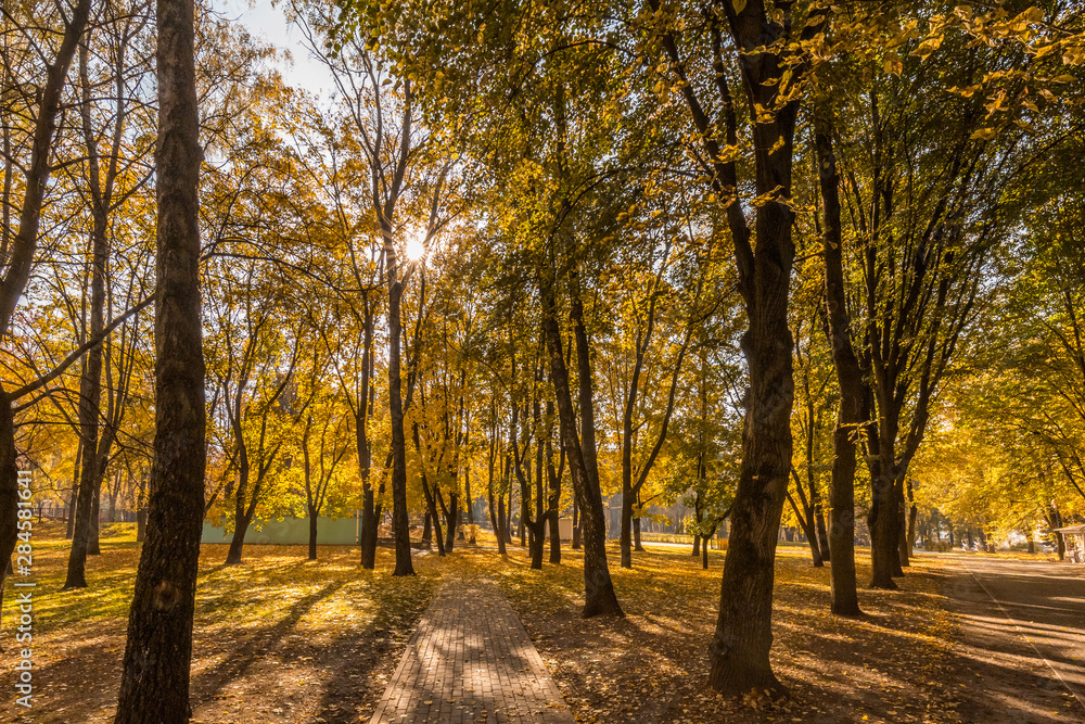 Minsk park autumn
