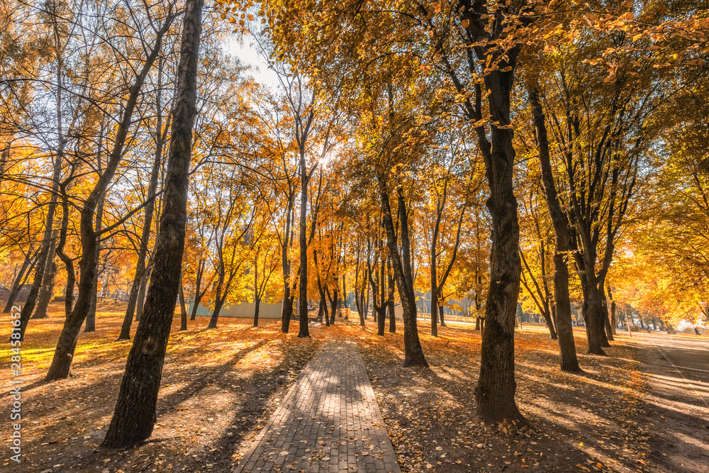 Minsk park autumn