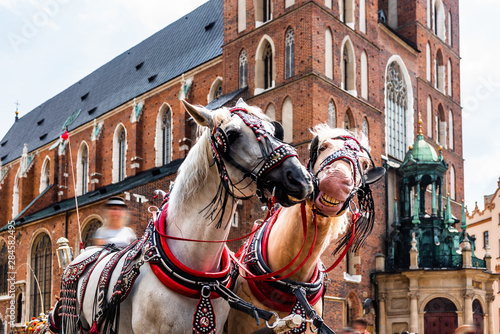Cracow, Poland.Horses in the town center. Carriage for tourists on the background of a historic church.Horse-drawn cart on the main square of the historic city. Tourists on the main market place. 