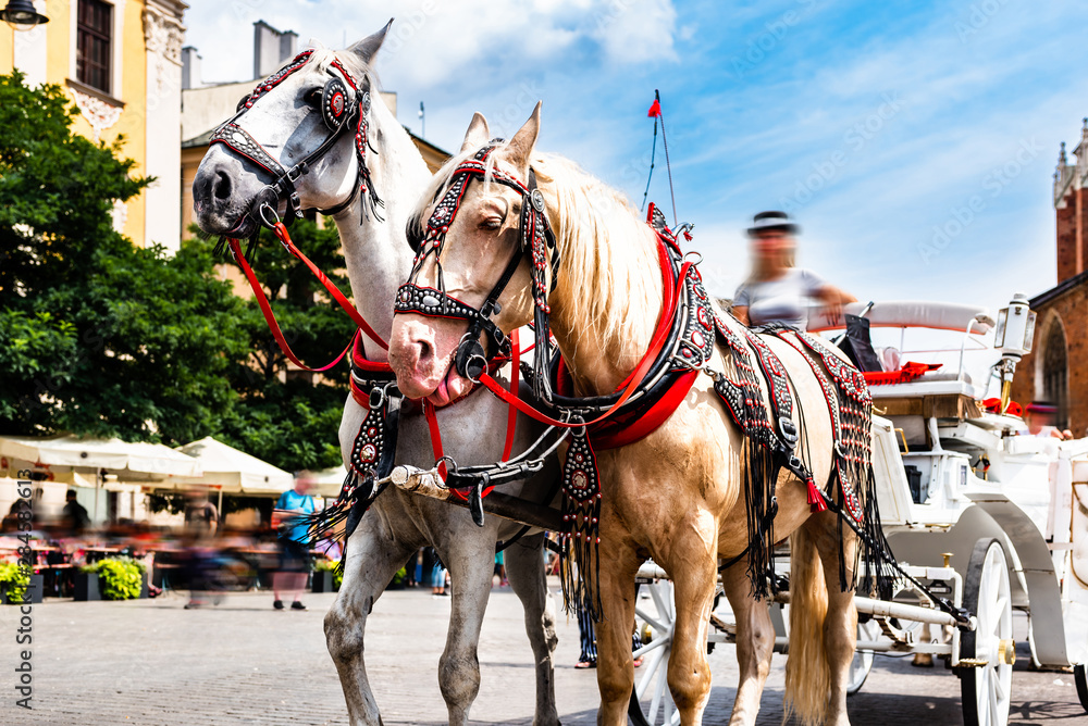 Horse-drawn cart waiting for tourists at the main square of the historic city. Horses in the town center. Carriage for tourists.Background of a historic church.Main market place in Cracow. Horse-drawn cart waiting for tourists at the main square of the historic city. Horses in the town center. Carriage for tourists.Background of a historic church.Main market place in Cracow.