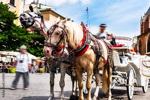 Horse-drawn cart on the main square of the historic city. Horses in the town center. Carriage for tourists on the background of a historic church. Tourists on the main market place. Cracow, Poland.