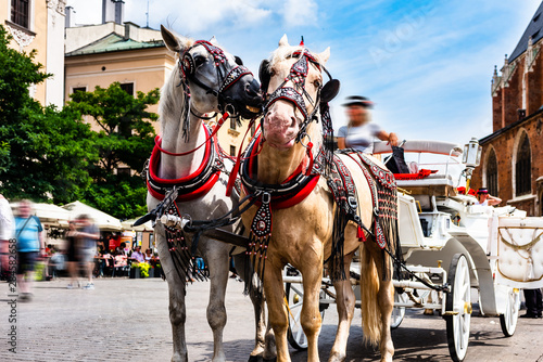 Cracow, Poland.Horse-drawn cart on the main square of the historic city. Horses in the town center. Carriage for tourists on the background of a historic church. Tourists on the main market place. © Piotr
