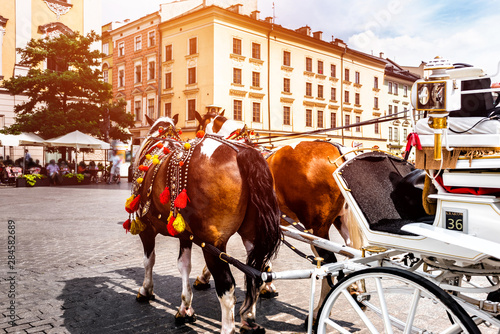 Sunny day in Cracow.Beautiful horses in the town center. Traditional carriage for tourists on the background of a historic church.Colorful horse-drawn cart on the main square of the historic city. 
