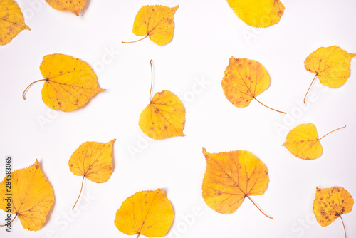 Autumn pattern made of yellow leaves on white background. Flat lay, top view.