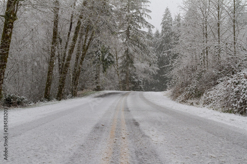 Snowy Road