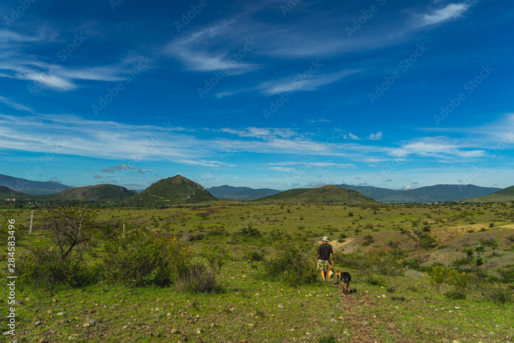 Mountains and dogs in Teotitlan del valle, Oaxaca, Mexico