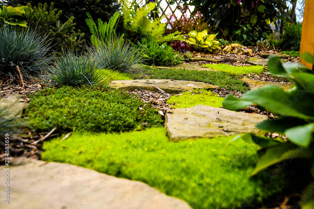 Naklejka premium Ogród ze skalniakiem