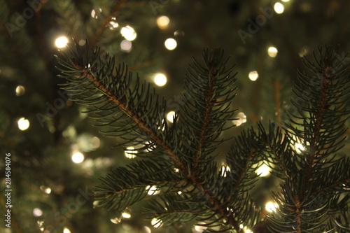 christmas tree with lights and stars