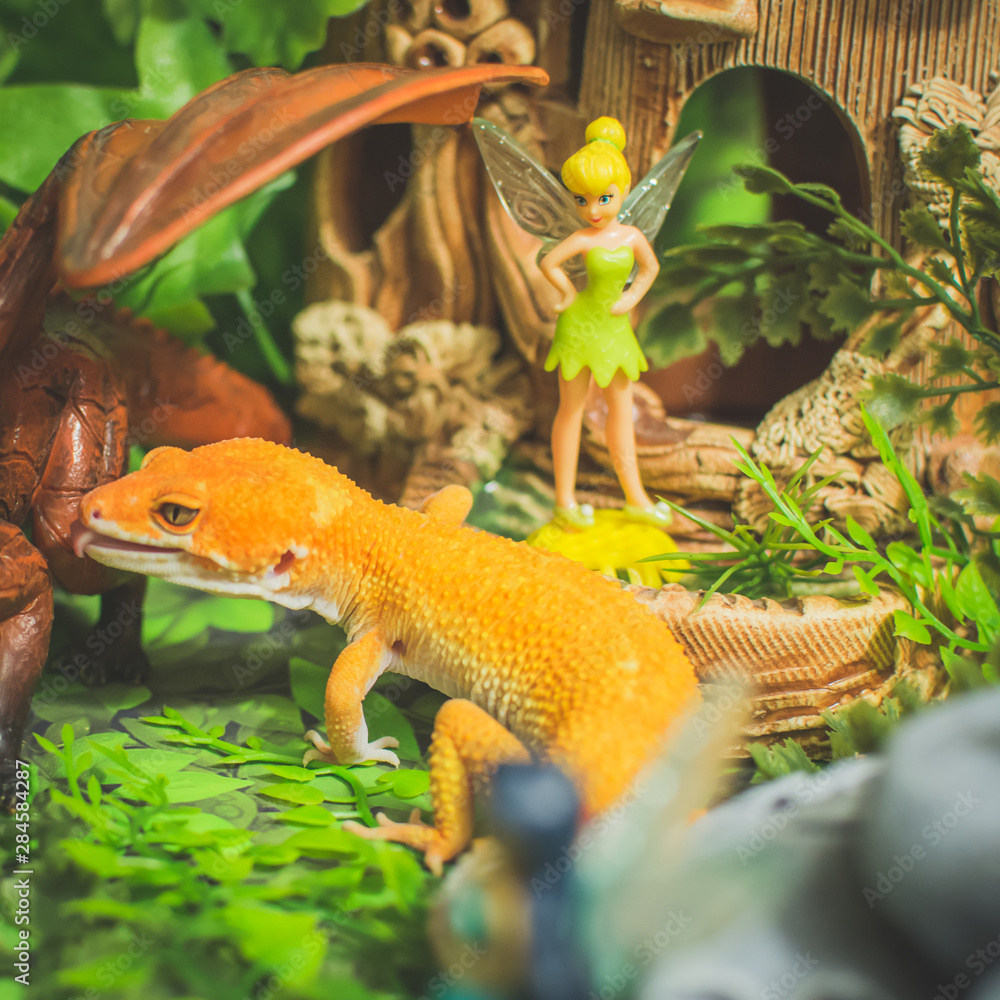 Orange lizard in fantasy world