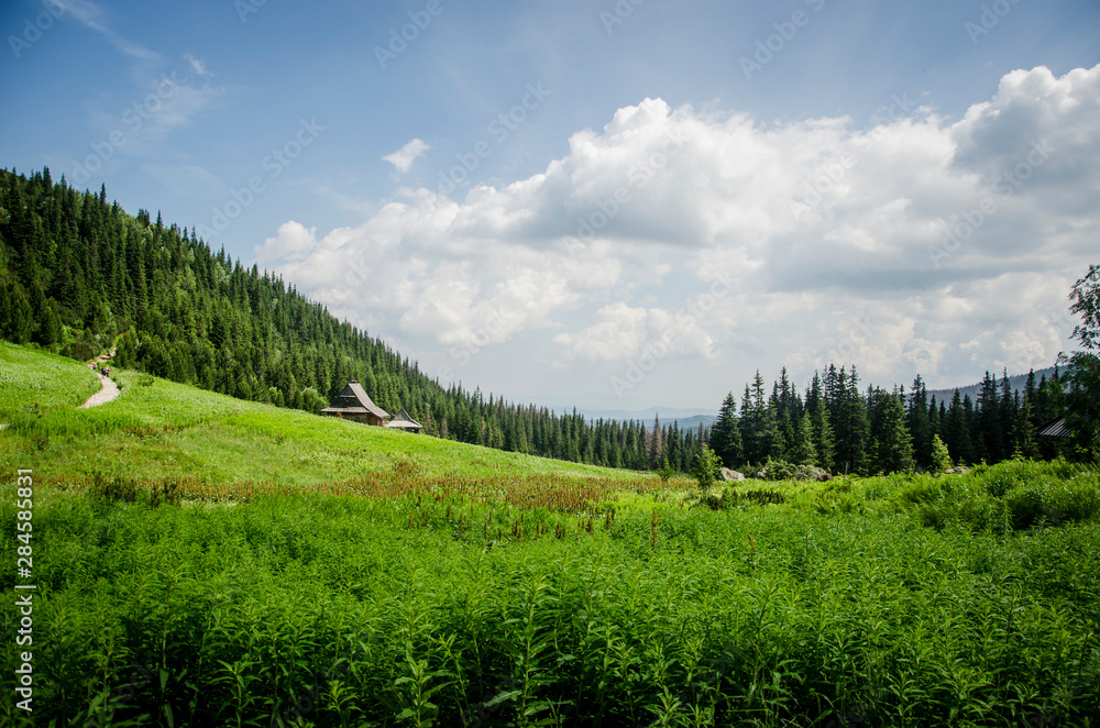 Fototapeta premium landscape