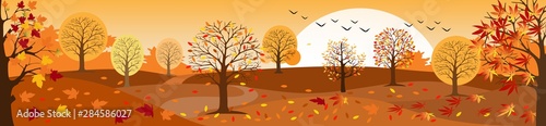 Panoramic of Countryside landscape in autumn, Vector illustration of horizontal banner of autumn landscape mountains and maple trees fallen with yellow foliage,Panorama autumn view in evening with sun