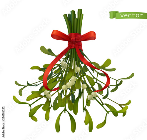 Kissing bough, christmas decoration. Mistletoe 3d realistic vector icon