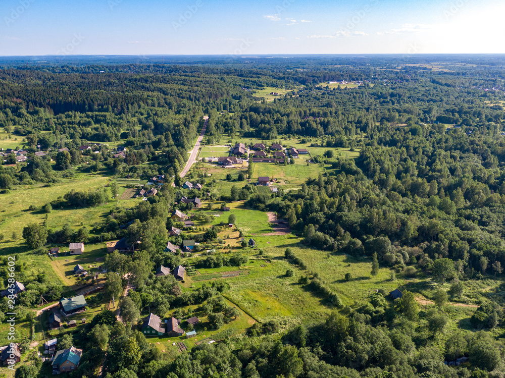 Fototapeta premium Landscape with a road in the forest